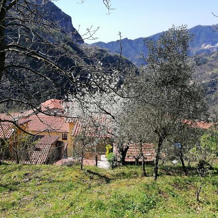 Il Metato Di Gallena Bed & Breakfast Stazzema Екстериор снимка