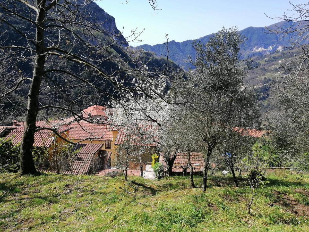 Il Metato Di Gallena Bed & Breakfast Stazzema Екстериор снимка