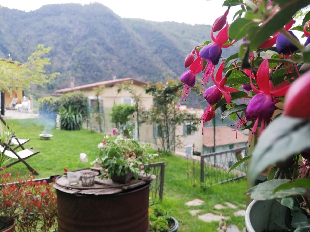Il Metato Di Gallena Bed & Breakfast Stazzema Екстериор снимка