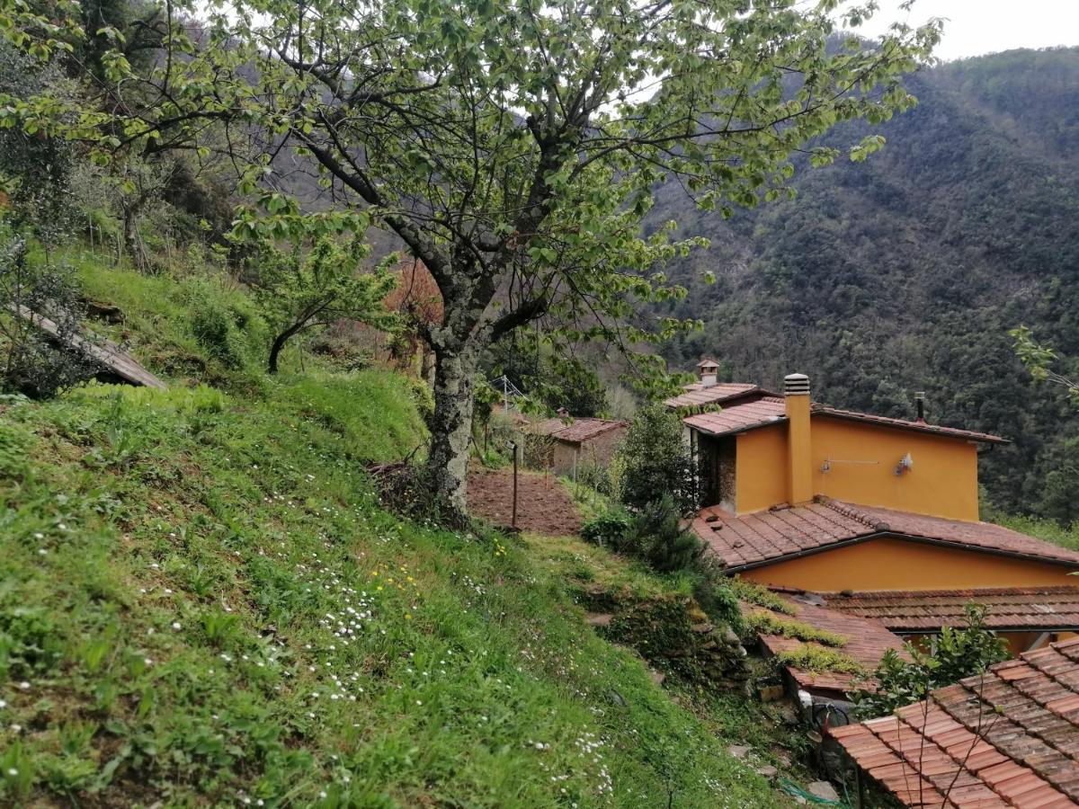 Il Metato Di Gallena Bed & Breakfast Stazzema Екстериор снимка