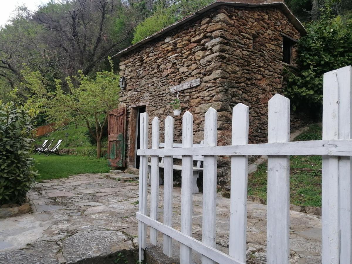Il Metato Di Gallena Bed & Breakfast Stazzema Екстериор снимка