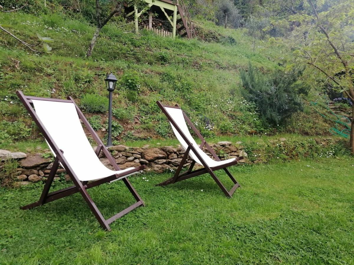 Il Metato Di Gallena Bed & Breakfast Stazzema Екстериор снимка