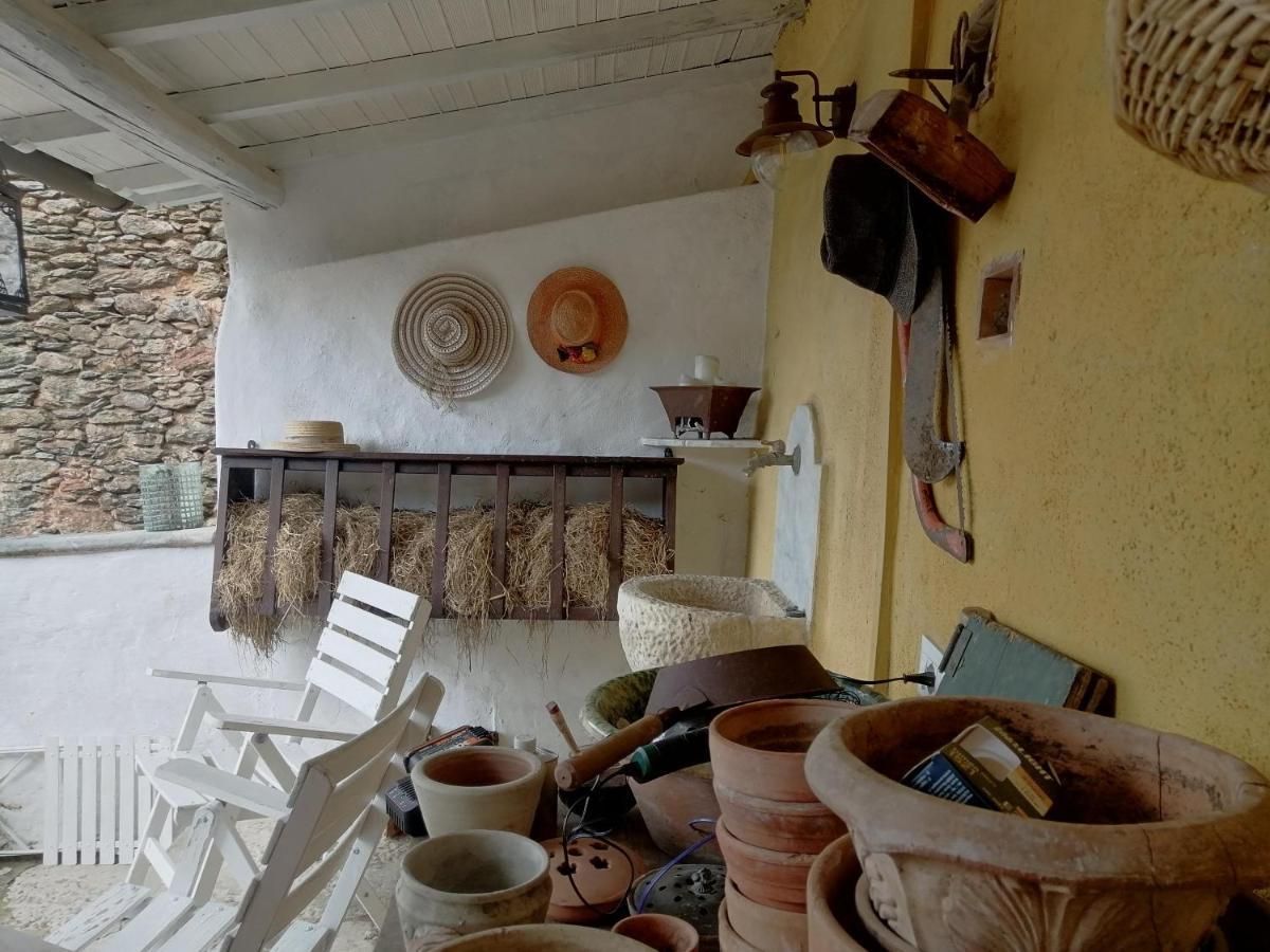 Il Metato Di Gallena Bed & Breakfast Stazzema Екстериор снимка